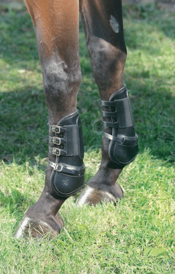 Protège tendons à boucles, doublés : cuir / néoprène / mouton